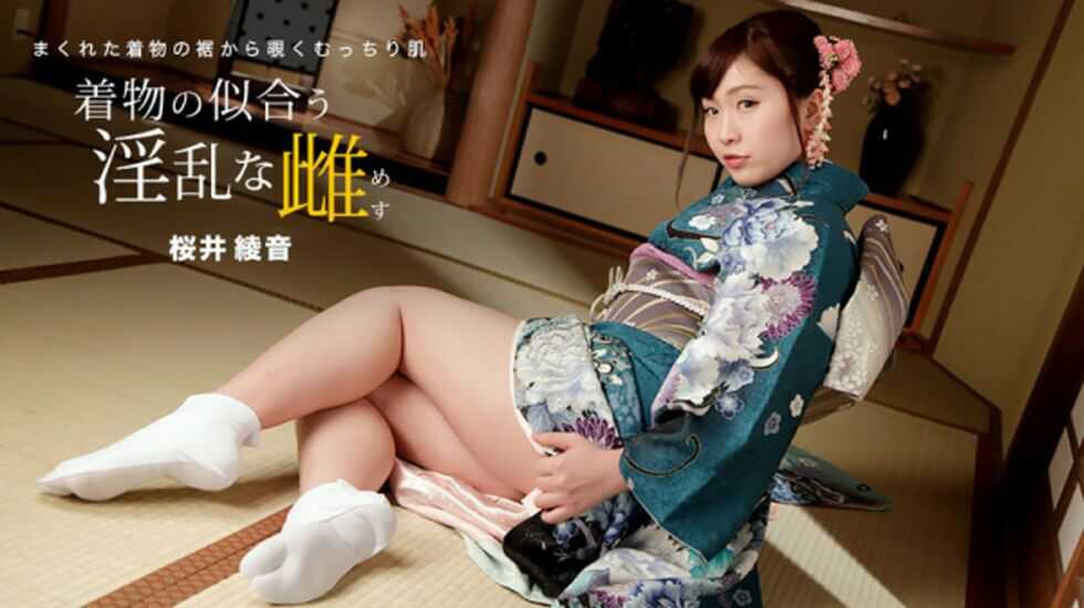 高清无码