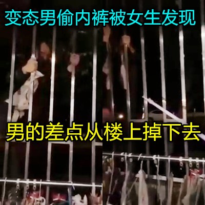 网传热门