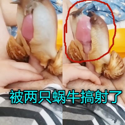 网传热门