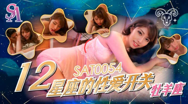 SA国际传媒